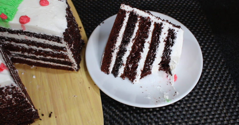 SIMPLE CHRISTMAS CAKE | Dapur Sinolin